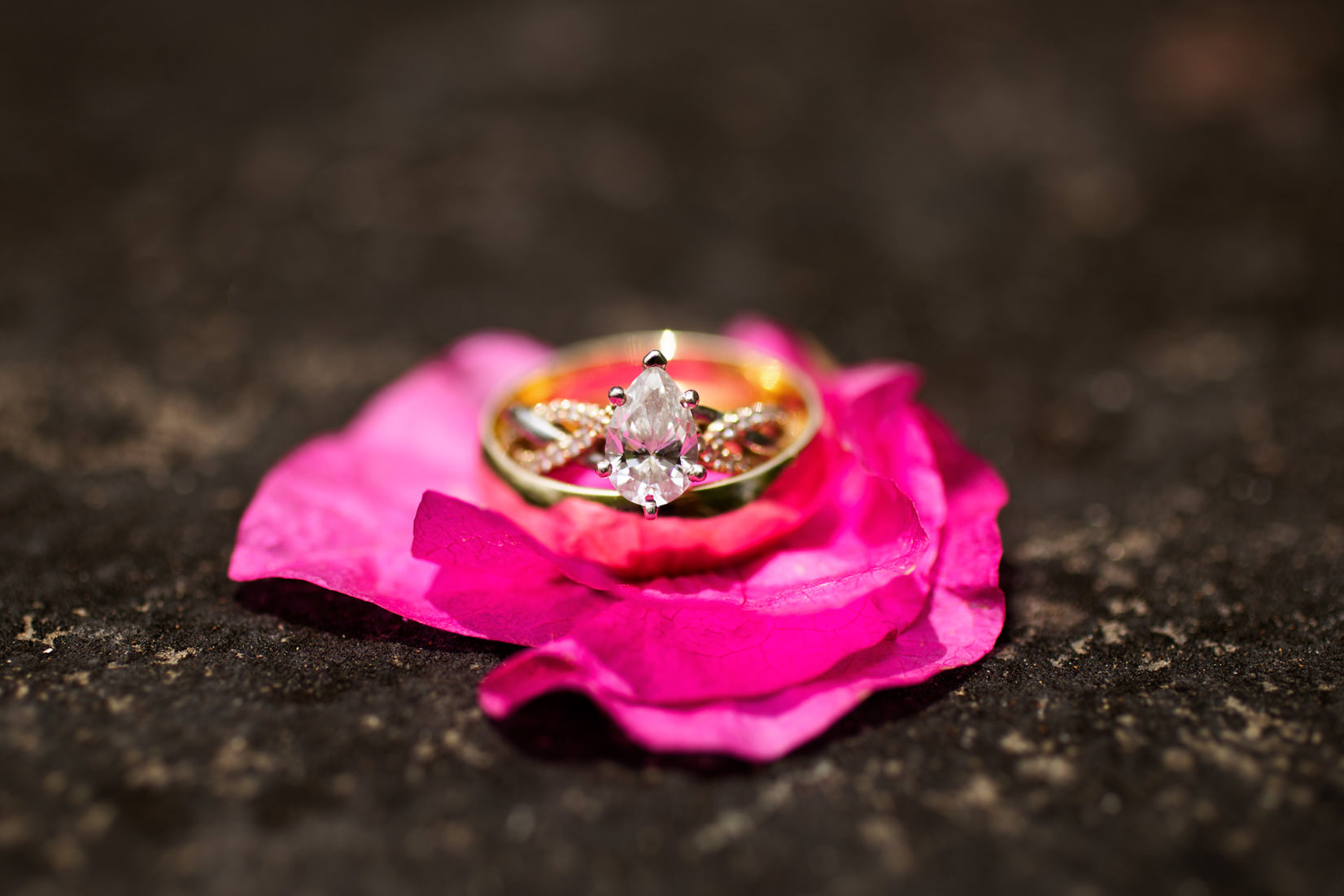 Hacienda Siesta Alegre Wedding Photos